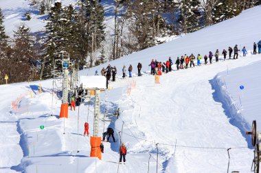 Alpine skiing clipart