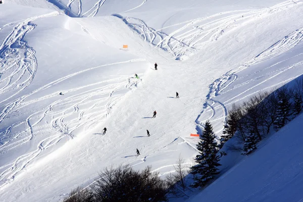 Alpine skiën Rechtenvrije Stockfoto's