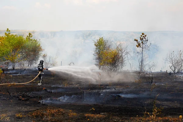 Πυροσβέστης σβήνει καύση χόρτο στην Ουκρανία. — Φωτογραφία Αρχείου