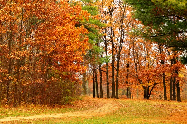 L'arrière-plan de paysages d'automne lumineux dans le parc — Photo