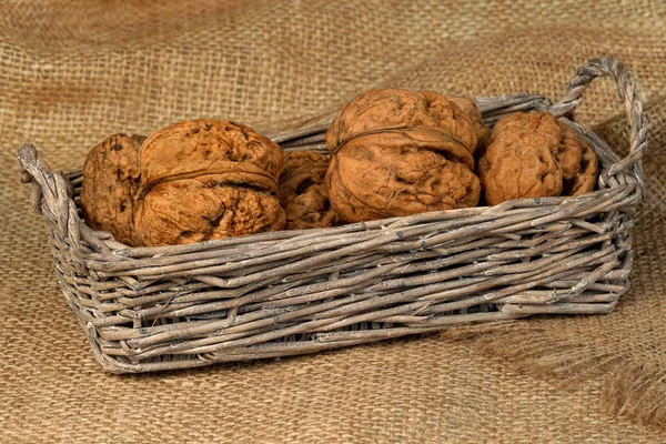 Walnüsse im Weidenkorb auf einem Säckchen — Stockfoto