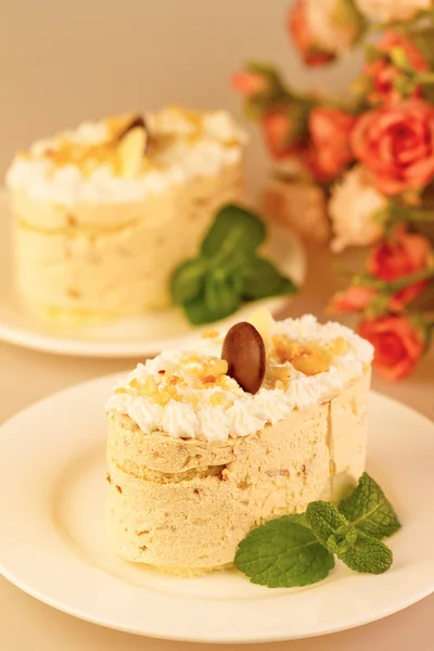 Italiaans dessert tiramisu met room en chocolade. in de backgr — Stockfoto
