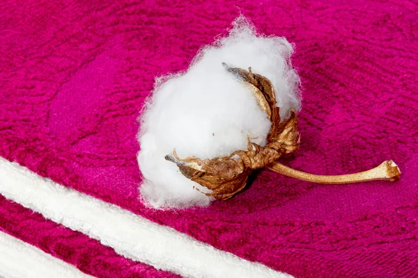 Boll of cotton terry towels on — Stock Photo, Image