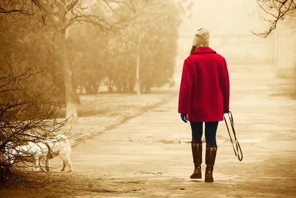 Chica en un abrigo rojo brillante caminando en el parque con un perro en un cl —  Fotos de Stock