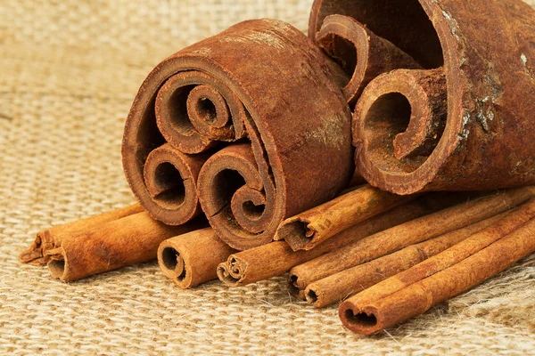 Cinnamon sticks on burlap — Stock Photo, Image