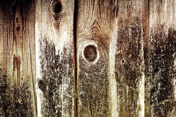 Old wooden boards covered with green moss on a rustic background — Stock Photo, Image