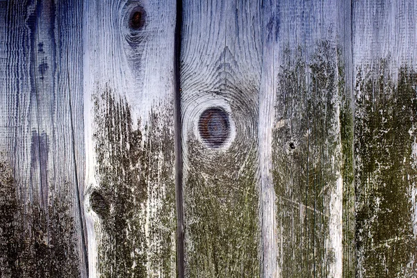 Vieilles planches en bois recouvertes de mousse verte sur un fond rustique — Photo