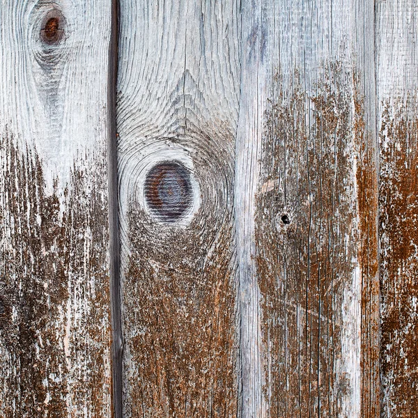 Old wooden boards covered with green moss on a rustic background — Stock Photo, Image