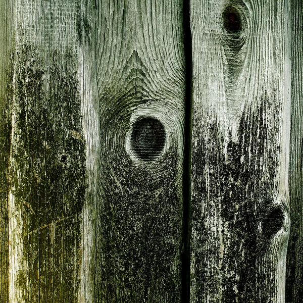 Old wooden boards covered with green moss on a rustic background — Stock Photo, Image