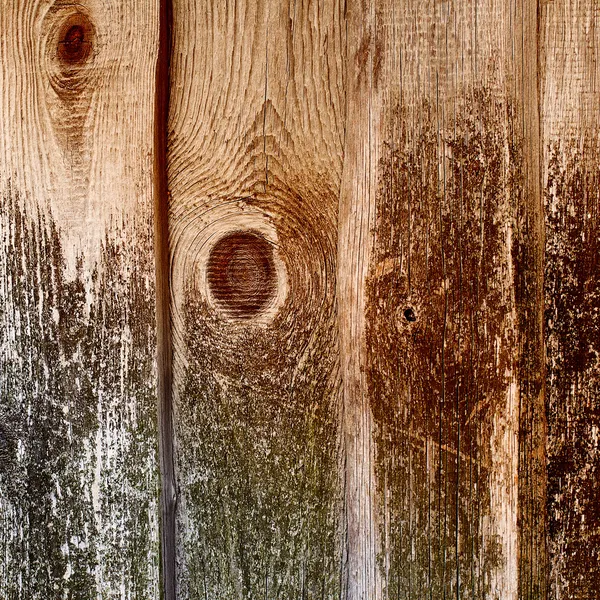 Velhas tábuas de madeira cobertas com musgo verde em um fundo rústico — Fotografia de Stock