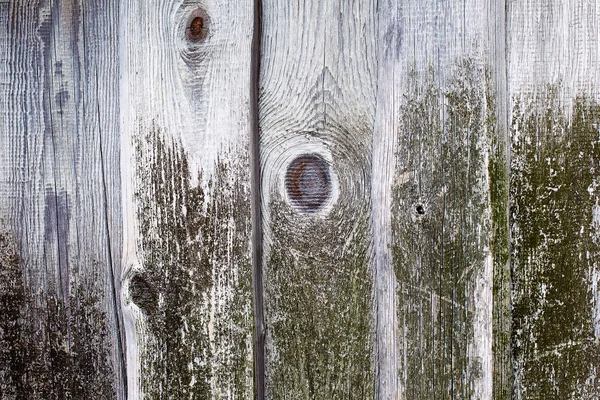 Staré dřevěné desky pokryté zeleným mechem na rustikální pozadí — Stock fotografie