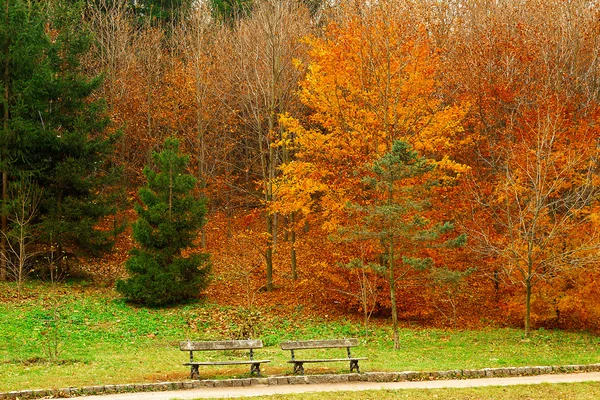 Ağaçlarda Sonbahar sezonu Şehir Parkı — Stok fotoğraf