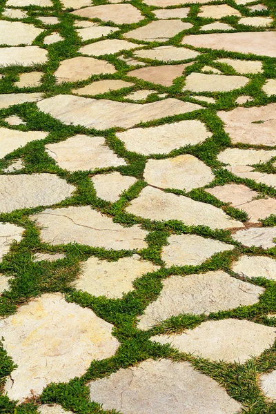 Giardino sentiero di pietra con erba che cresce tra le pietre — Foto Stock