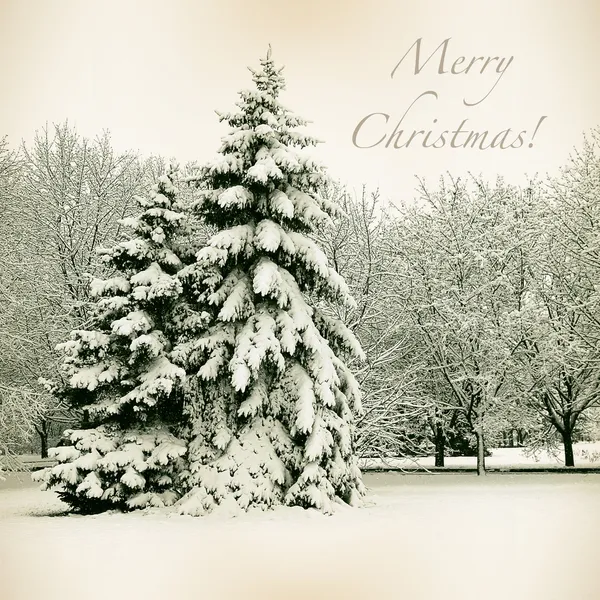 Scheda retrò con Buon Natale, alberi e alberi di Natale in sn — Foto Stock