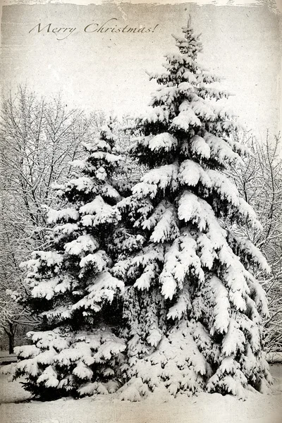 Retro card with Merry Christmas, trees and fir trees covered in — Stock Photo, Image