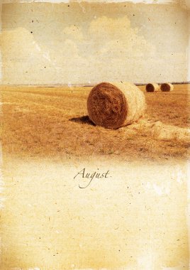 retro bir takvim. Ağustos. Vintage yaz peyzaj.