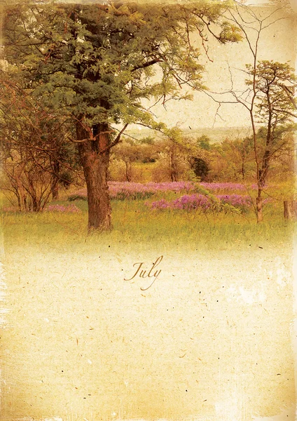 Calendrier rétro. Juillet. Paysage d'été vintage . — Photo