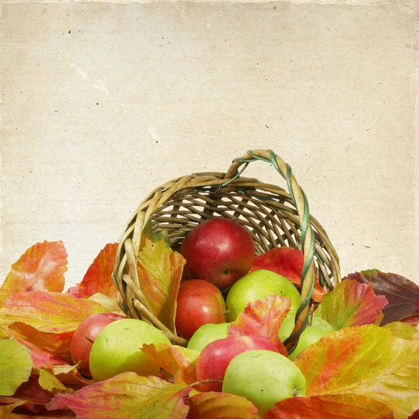 Cesta de manzanas en las hojas de otoño — Foto de Stock
