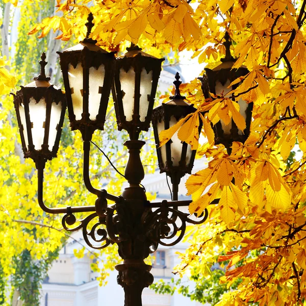 Уличный фонарь на фоне осенней листвы — стоковое фото