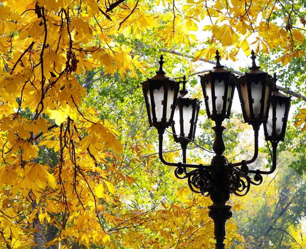 Уличный фонарь на фоне осенней листвы — стоковое фото