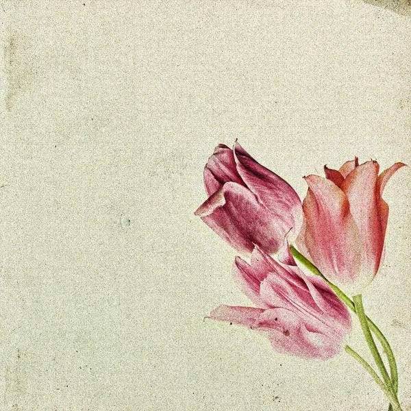 Fundo floral vintage com tulipas no fundo de g velho — Fotografia de Stock