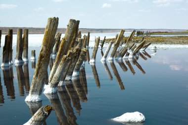 Beyaz tuz plaj kuyalnik odessa Ukrayna'nın pembe deniz