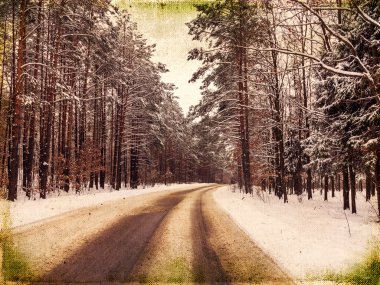 Winding road hidden behind tall pine trees, frosty winter landsc clipart