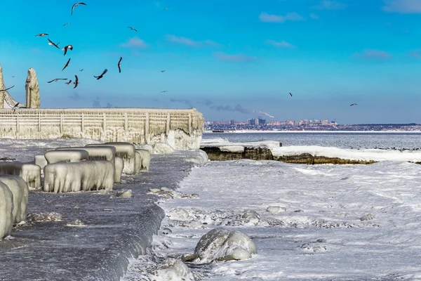 Encrusted Black Sea city embankment and gulls — Stock Photo, Image