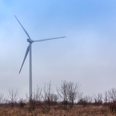 yel değirmenleri ile film tahıl etkisi sisli bir günde. n bir resmi gösterir