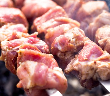 ham Marine Kebab, Barbekü. seçici odak fotoğraf