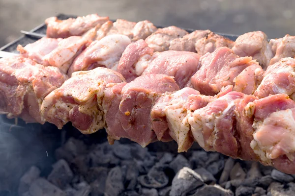 Shashlik cru marinado, churrasco. Foto com foco seletivo — Fotografia de Stock