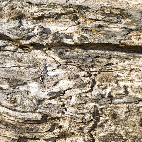 Oude gebarsten houtstructuur — Stockfoto