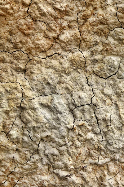 Detailed texture of cracked earth — Stock Photo, Image