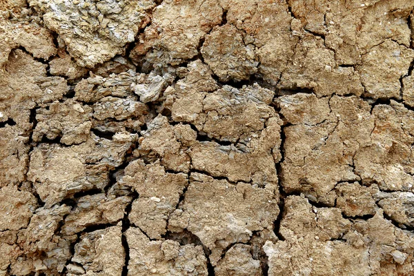 Detaljerad struktur av sprucken jord — Stockfoto