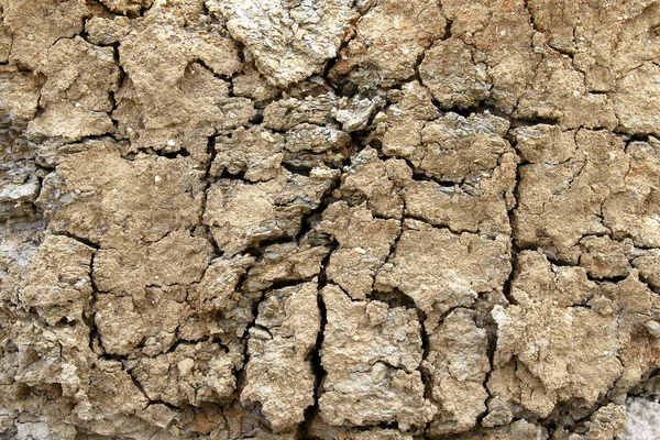 Gedetailleerde textuur van gebarsten aarde — Stockfoto