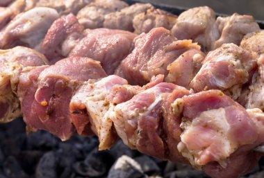 ham Marine Kebab, Barbekü. seçici odak fotoğraf