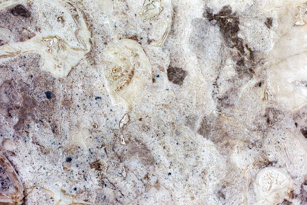 明亮的天然大理石。美丽多彩室内装修工程 — 图库照片