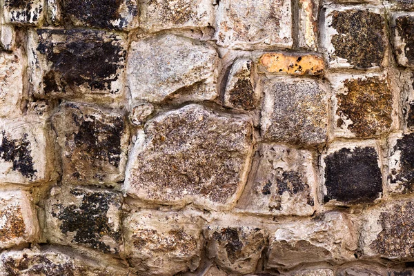 Painting decorative slate stone wall surface of wild stone ply — Stock Photo, Image