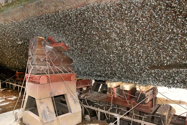 Barco del río Viejo con vegetación cubierta y botín de mejillones marinos — Foto de Stock