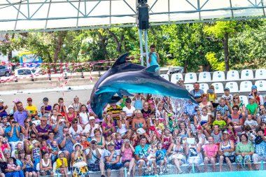 Odessa, Ukrayna - ö. 10 Haziran 2013: Yunuslar yaratıcı entertaini üzerinde
