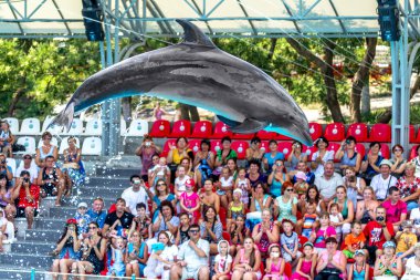 Odessa, Ukrayna - ö. 10 Haziran 2013: Yunuslar yaratıcı entertaini üzerinde