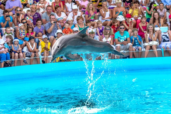 ODESSA, UCRANIA - 10 de junio de 2013: Delfines en el entretenimiento creativo — Foto de Stock