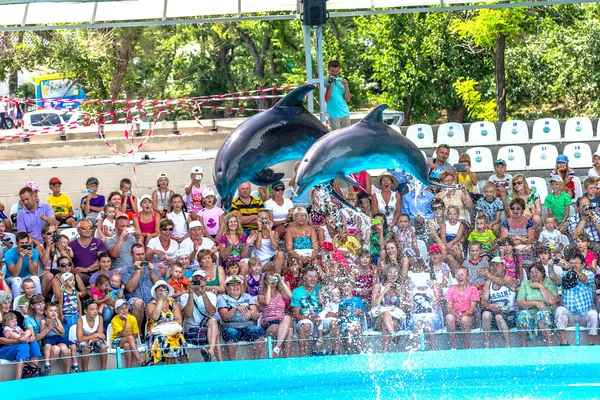 ODESSA, UKRAINE - JUNE 10, 2013: Dolphins on creative entertaini — Stock Photo, Image