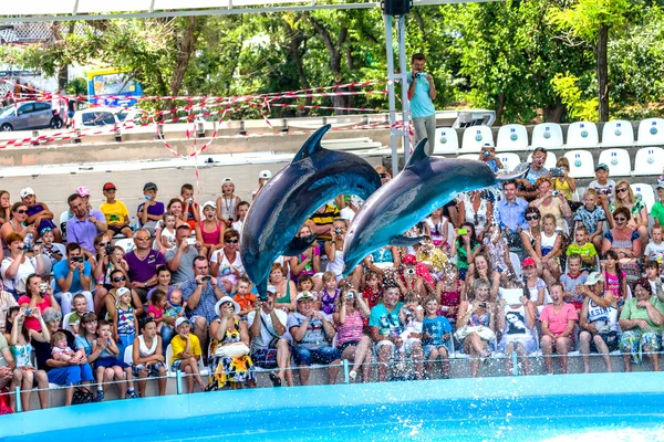 Odessa, ukraine - 10. Juni 2013: Delfine auf kreativen Entertaini — Stockfoto