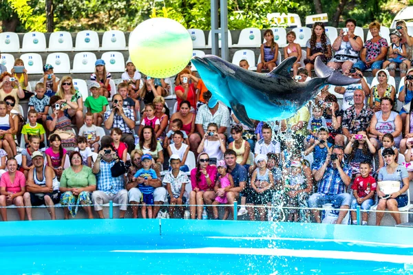 ODESSA, UCRANIA - 10 de junio de 2013: Delfines en el entretenimiento creativo — Foto de Stock