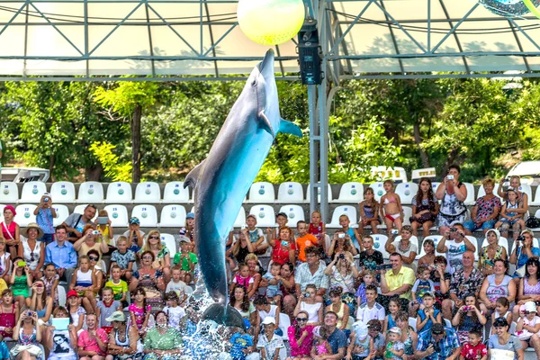 ODESSA, UCRANIA - 10 de junio de 2013: Delfines en el entretenimiento creativo — Foto de Stock