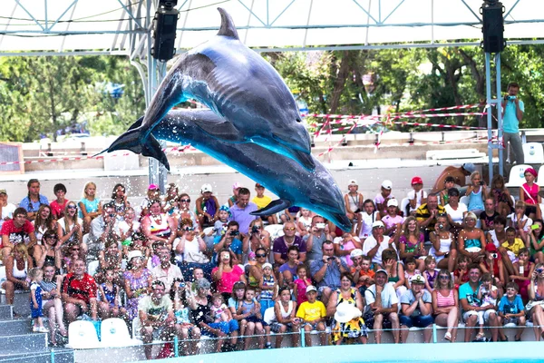 ОДЕССА, Украина - 10 июня 2013 года: Дельфины на творческих развлечениях — стоковое фото