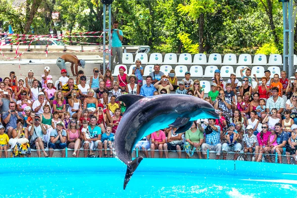 ODESSA, UKRAINE - JUNE 10, 2013: Dolphins on creative entertaini — Stock Photo, Image