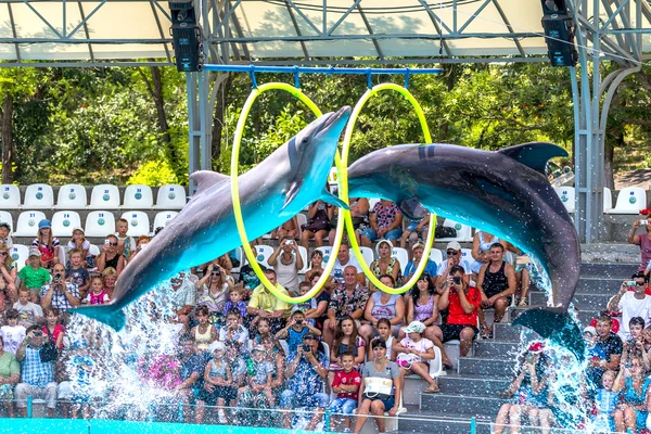 ODESSA, UCRANIA - 10 de junio de 2013: Delfines en el entretenimiento creativo — Foto de Stock