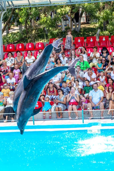 ODESSA, UCRANIA - 10 de junio de 2013: Delfines en el entretenimiento creativo —  Fotos de Stock